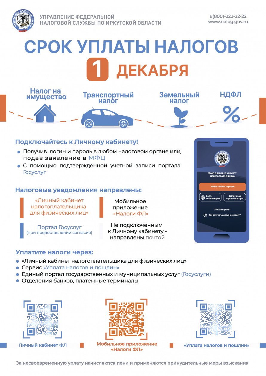 Срок уплаты налогов - 1 декабря!